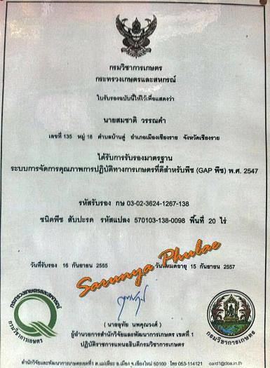 เอกสารรับรองมาตรฐาน GAP ของไร่ศรัญญา ภูแล 